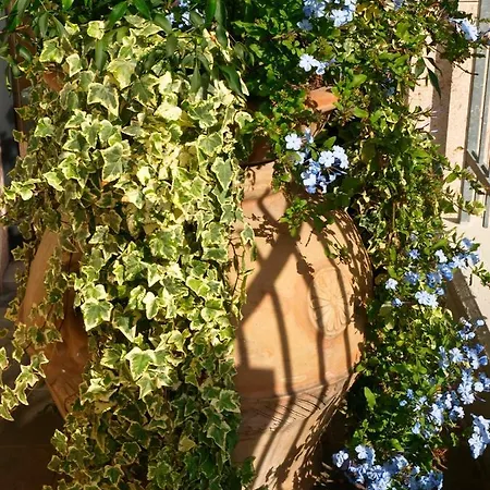 Lejlighedshotel Alle Palme Riva del Garda
